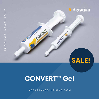 Convert Gel