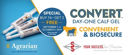 Convert Day-One Calf Gel