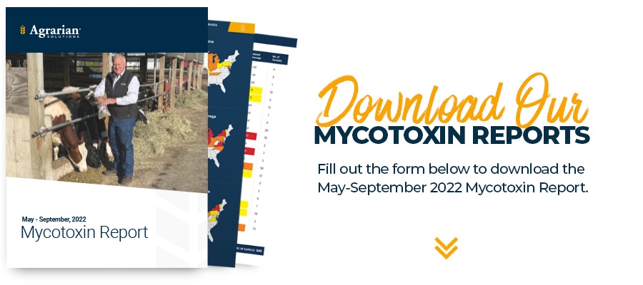 Download Mycotoxin Report
