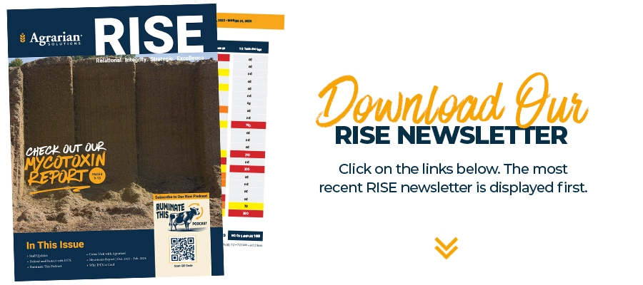 Rise Newsletter 301