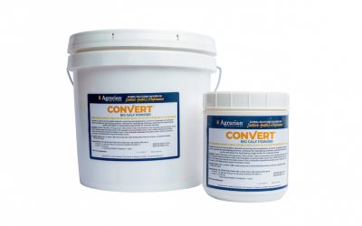 Reaching for Genetic Potential with CONVERT™ BIG Calf Powder