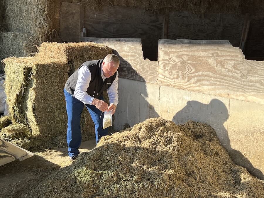 Sampling Feed Mycotoxin
