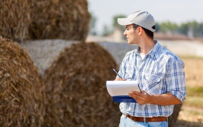 Economic Implications of Binders on Dairy Diets