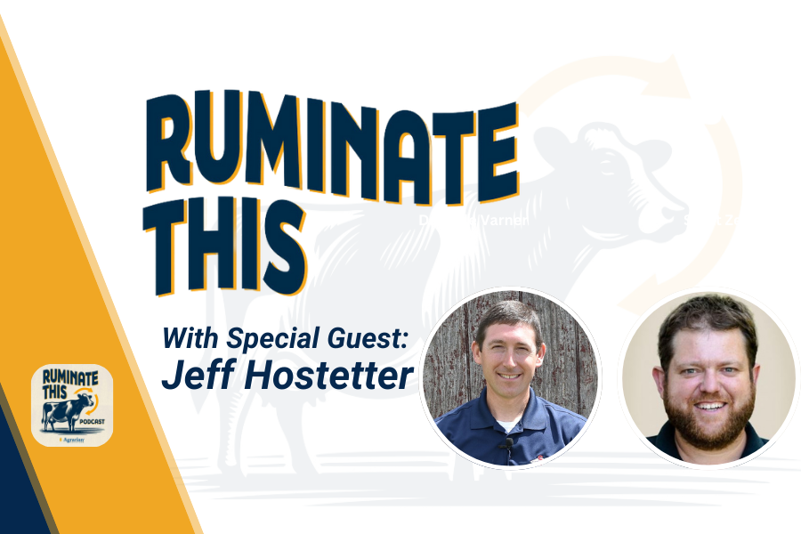 ruminate this episode 5