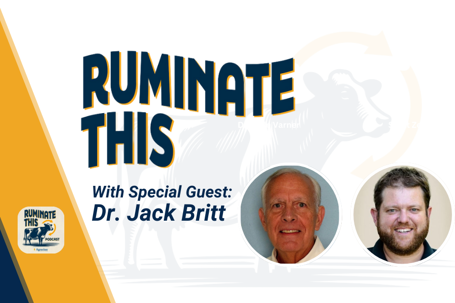 ruminate this episode 11