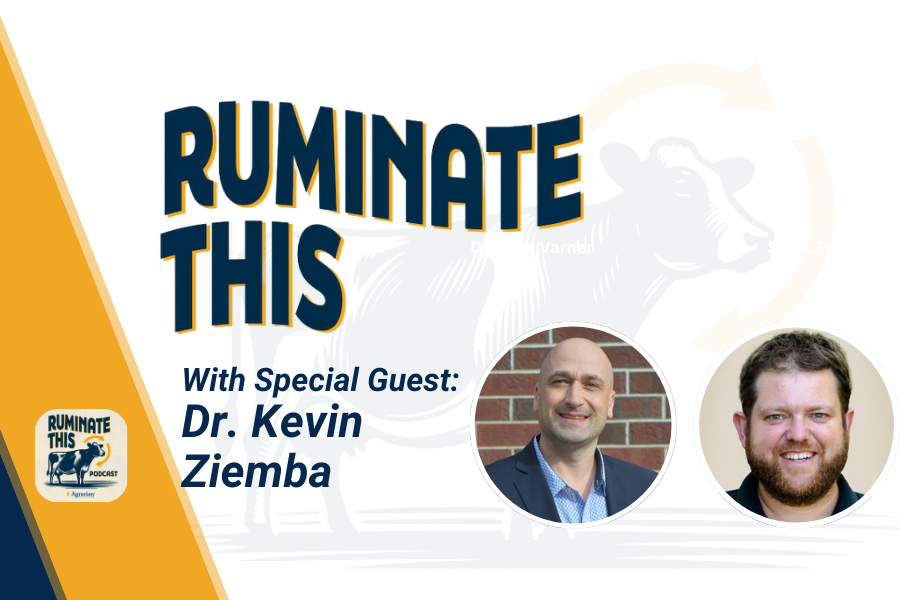 ruminate this episode 10