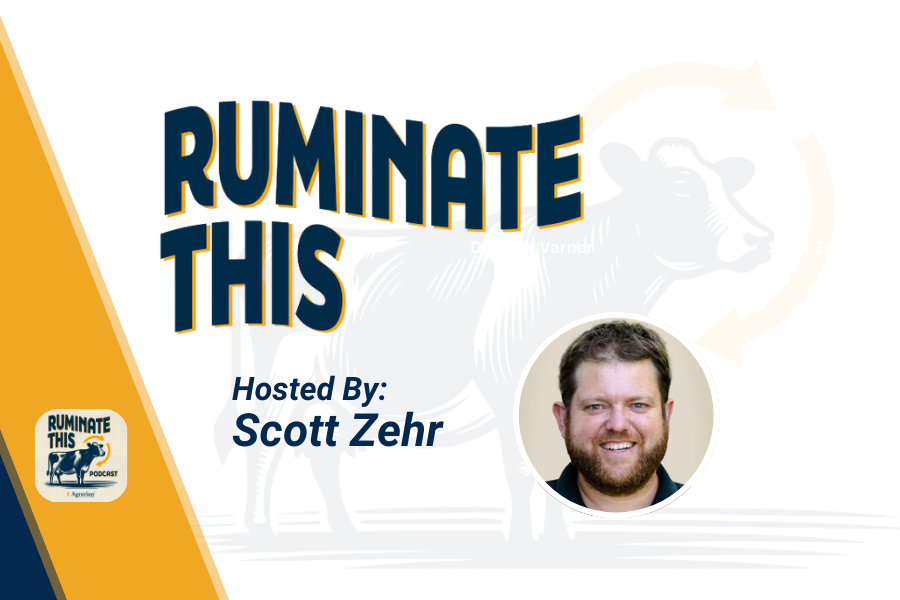 ruminate this episode 13