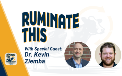 17: Building a culture of success