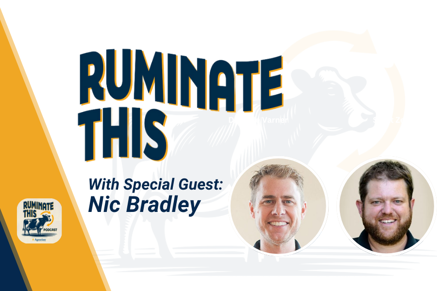 ruminate this episode 19