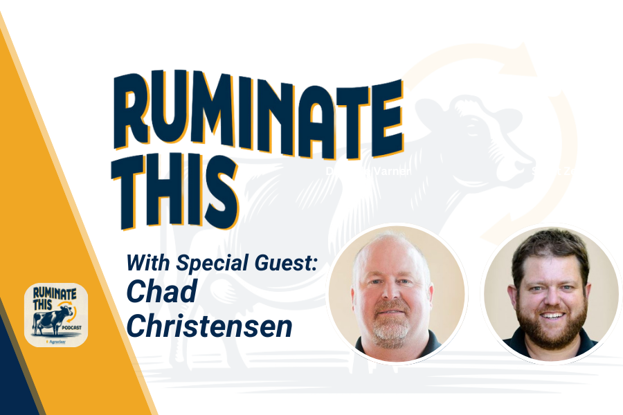 ruminate this episode 21