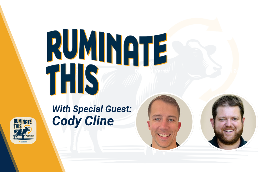 ruminate this episode 25