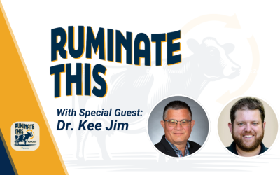 24: Sustainable Beef Production Insights: Innovations in Cattle Management