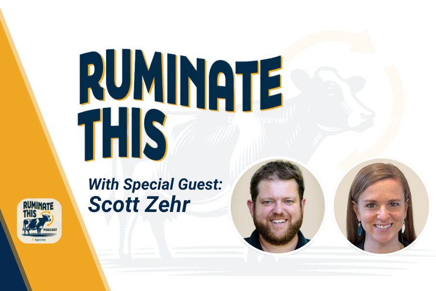 ruminate this episode 32