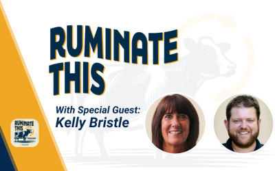 34: Meet the Team: Kelly Bristle, Community Manager
