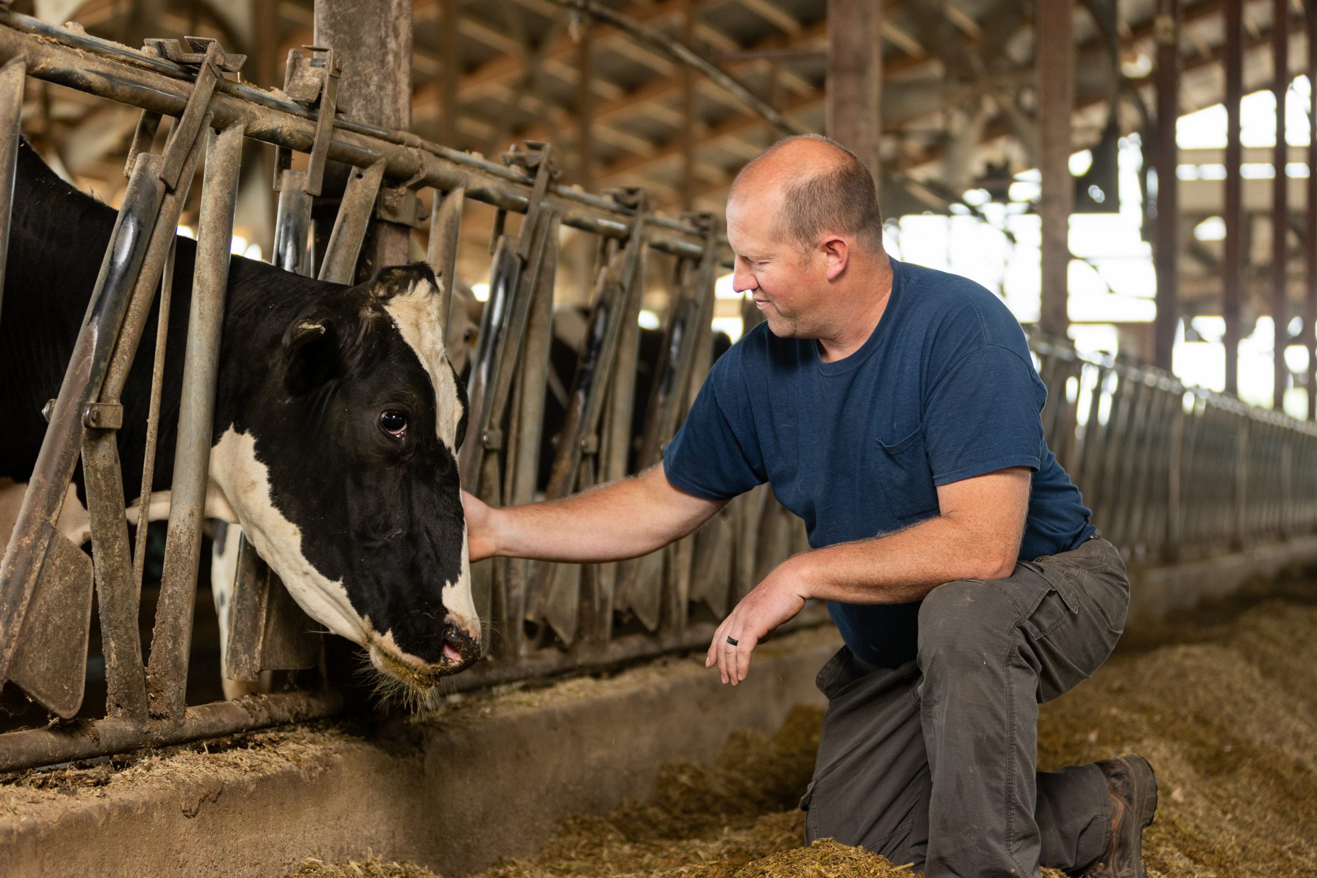 AGRSOL On Farm