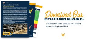 Download Mycotoxin Report Mar-Sept24
