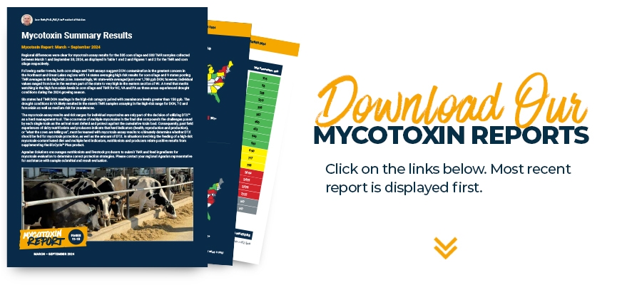 Download Mycotoxin-Report - Mar-Sept24
