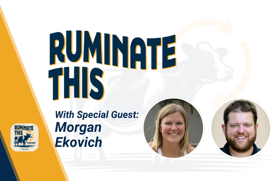 ruminate this episode 38