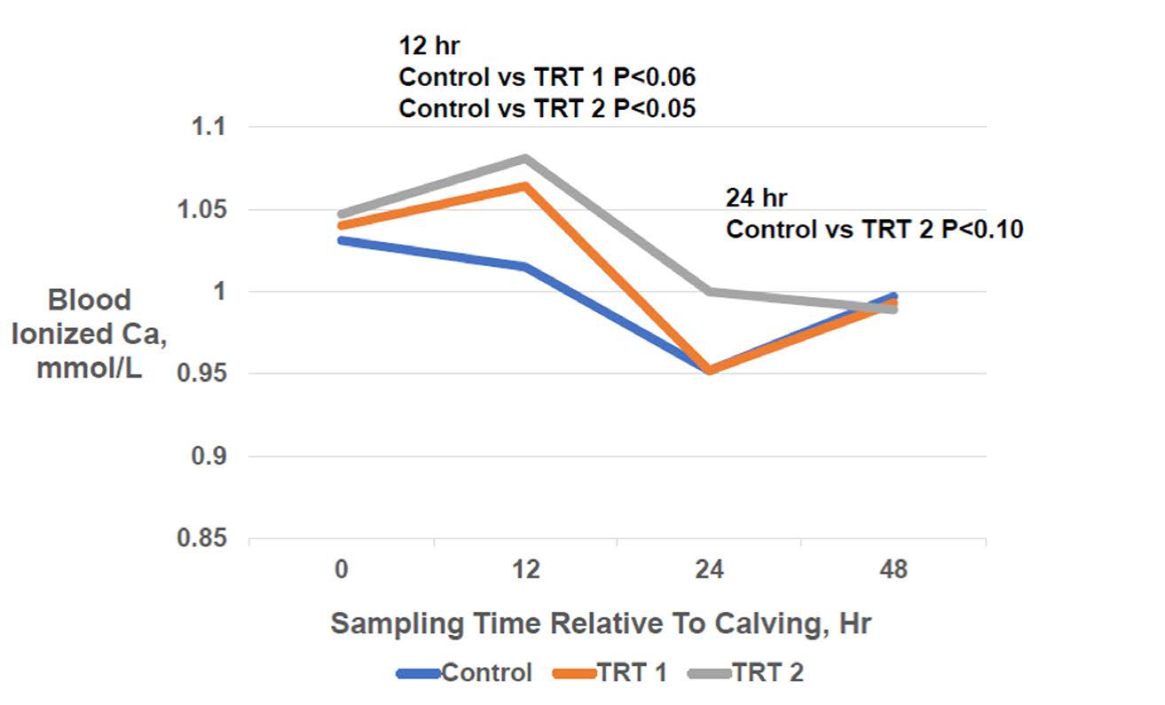 Figure 1. Effect of Ca3 BioFresh Bolus Administration on Blood Ionized Calcium Levels of Newly Freshened 2nd Lactation and Greater Holstein Cows