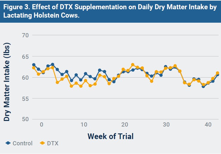Figure 3. Effect of DTX Supplementation on Daily Dry Matter Intake by Lactating Holstein Cows.