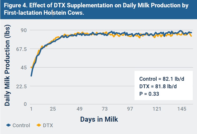 Figure 4. Effect of DTX Supplementation on Daily Milk Production by First-lactation Holstein Cows.