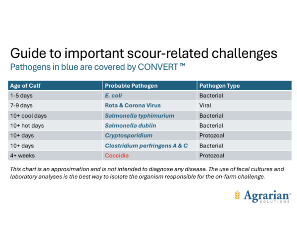 Guide to important scour related challenges