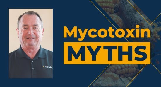 Mycotoxin Myths