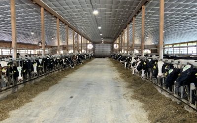 Navigating the Transition Period with Select BioCycle Plus™