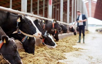 Mycotoxin Myths