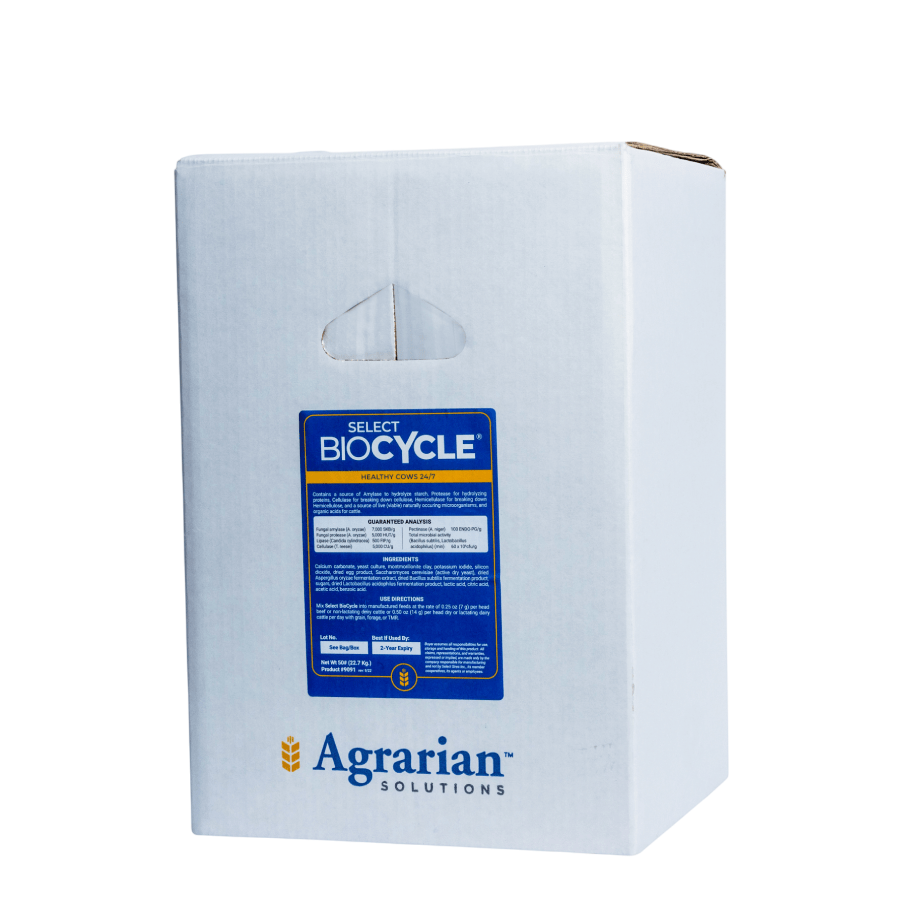 9091 BioCycle - transparent 900x900 Biocycle<br />