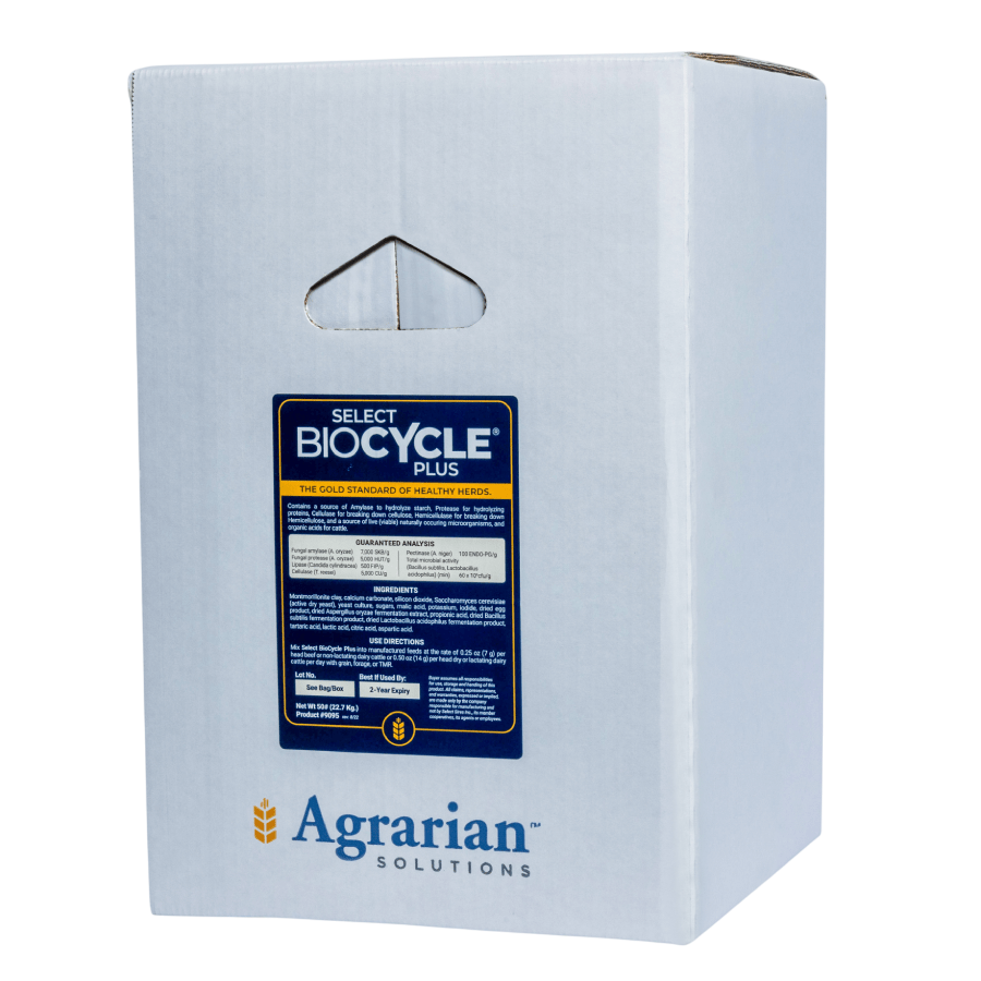 9095 BioCycle Plus - transparent 900x900 9095 BioCycle Plus