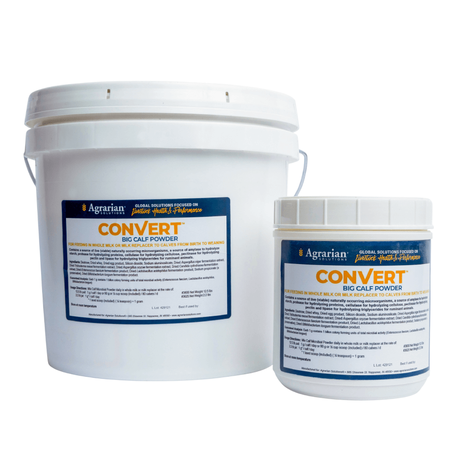Convert BIG Calf Powder