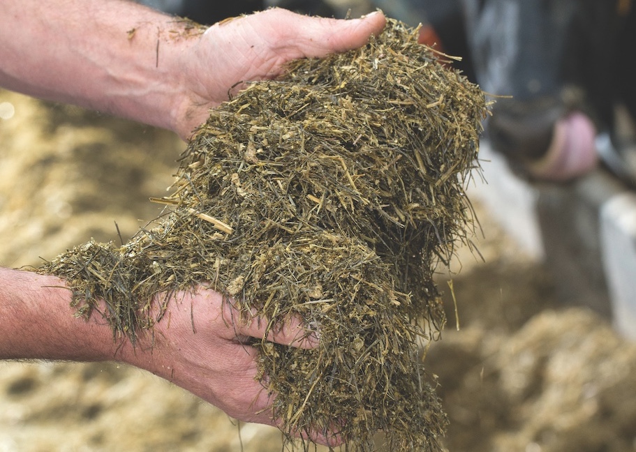 dairy feed challenges
