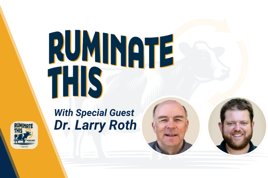 Ruminate This Podcast