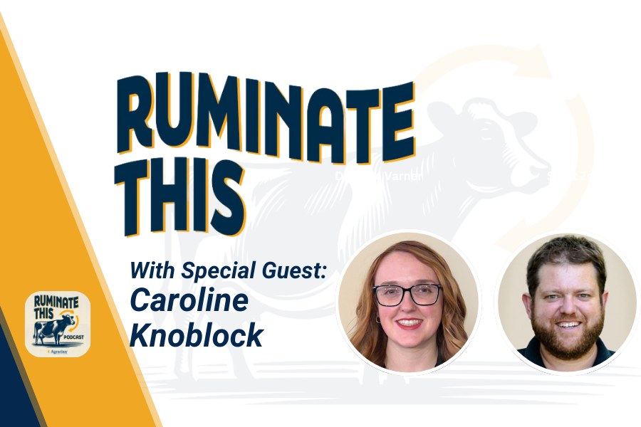 Ruminate This Podcast