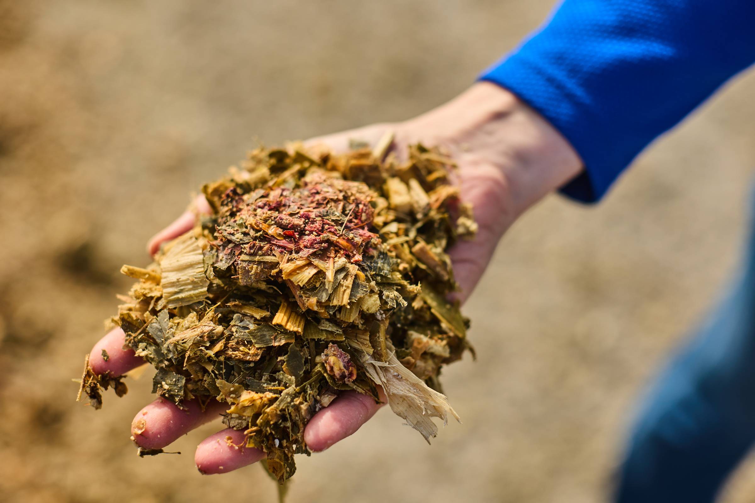 Mycotoxin handful