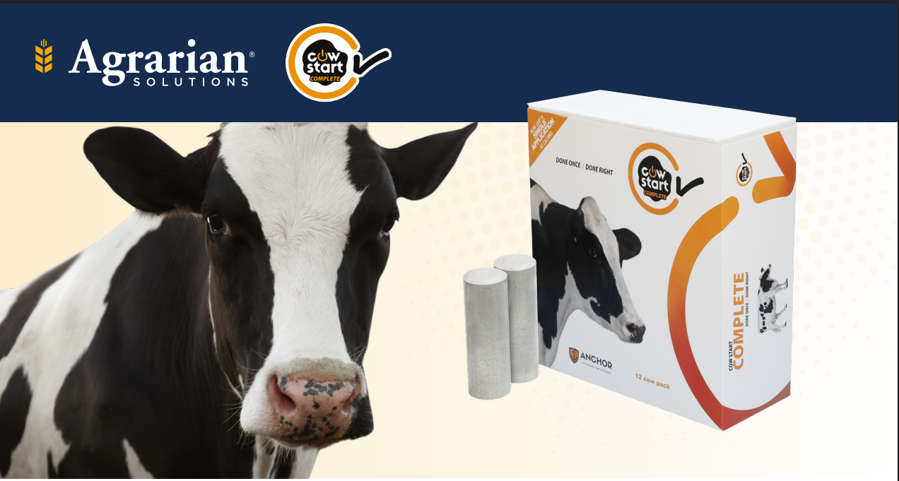 The Effect of Cow Start™ Complete on Milk Production and Reproduction feature image