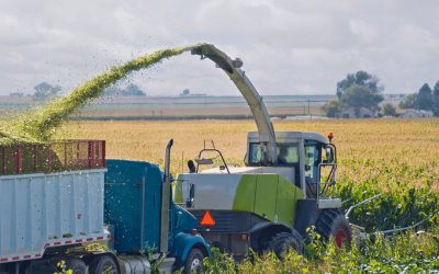 Predicting the 2025 Corn Silage Quality and Hygiene