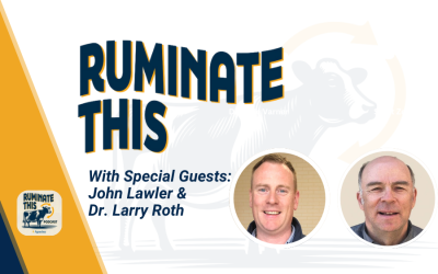 54: The next generation of transition cow care