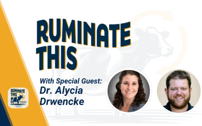 55: Best practices for disbudding