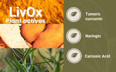 Plant Power with Plant Actives