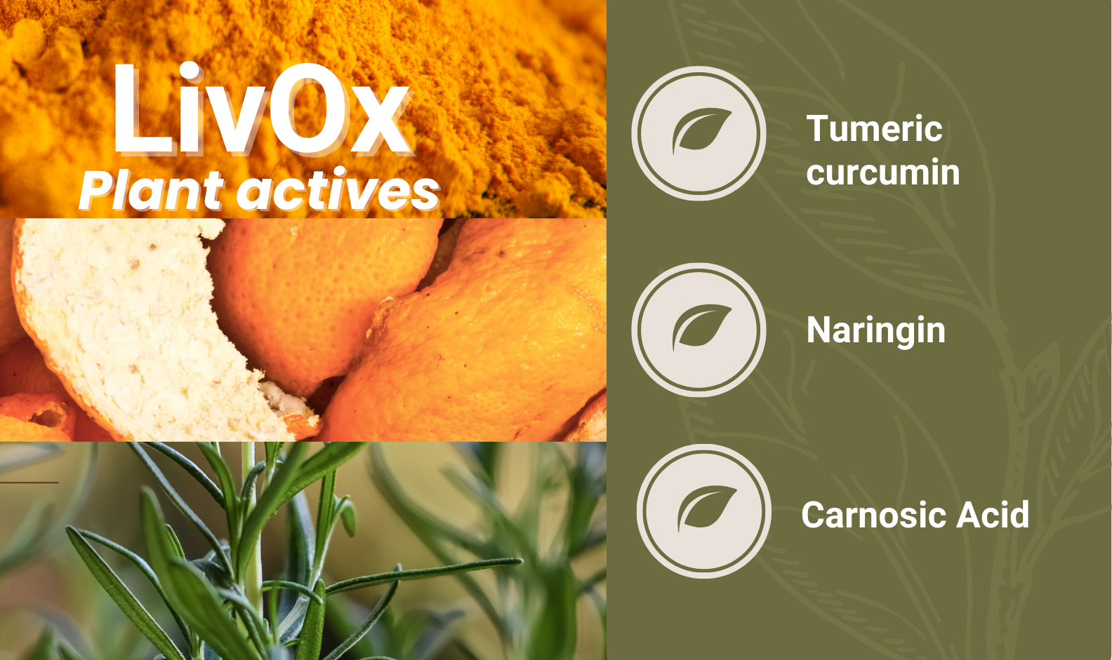 LivOx new image