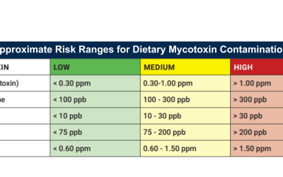 Four Mycotoxins, Four Different Modes of Damage in Dairy Cows