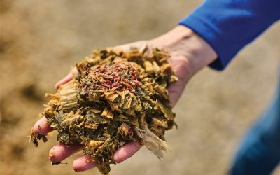Mycotoxin Report: October 1, 2025 – April 30, 2026