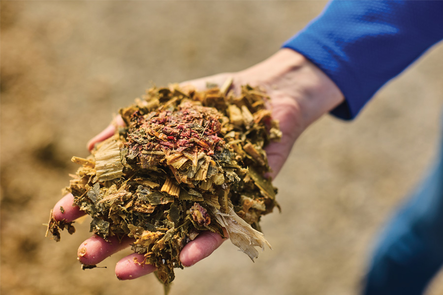 Mycotoxin-Report-Featured-Image_Oct25-Apr26