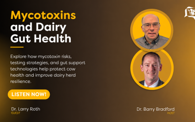 [Bonus Interview] The Dairy Podcast Show – Dr. Larry Roth: Mycotoxins and Dairy Gut Health