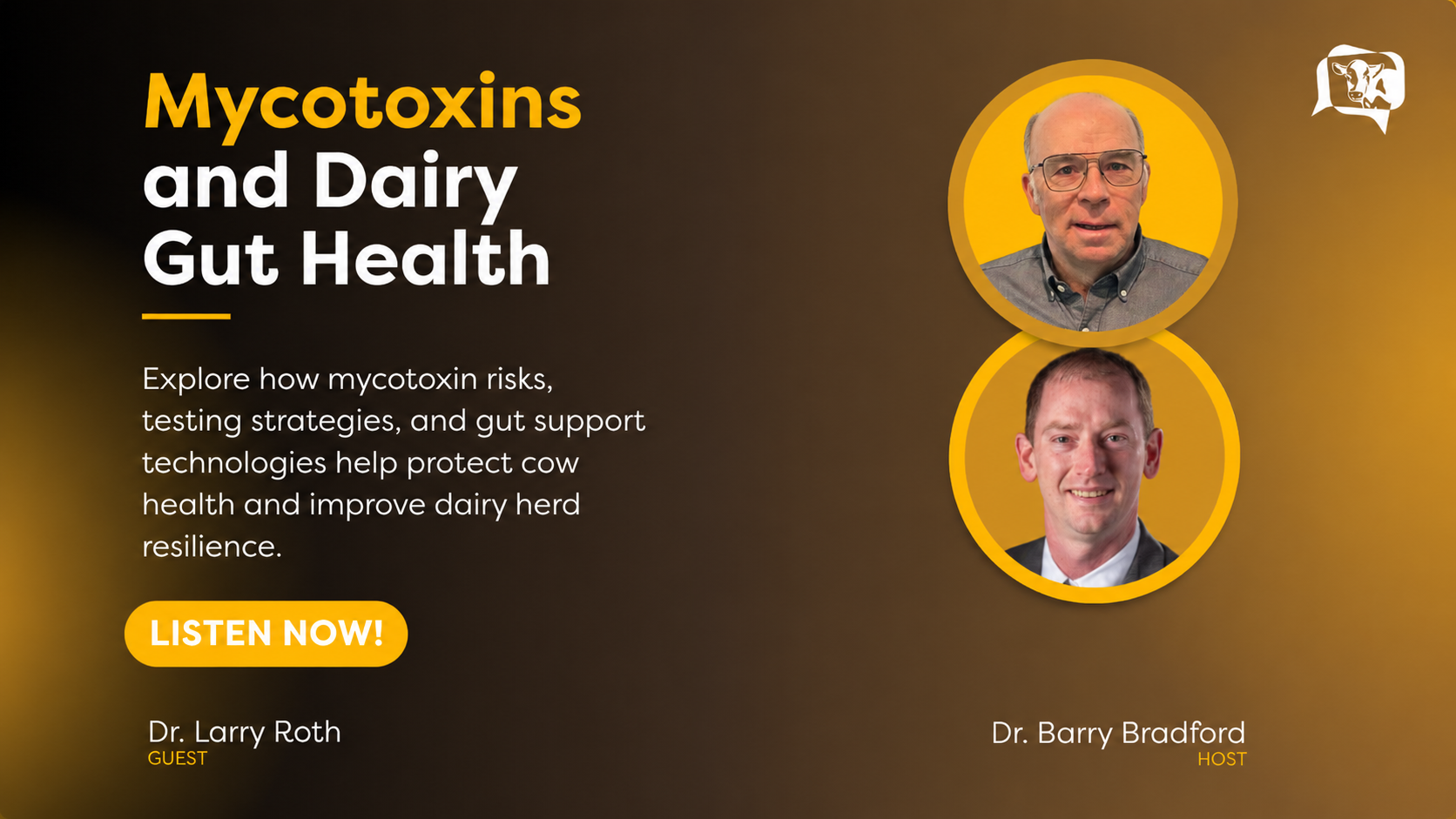 Mycotoxins and Dairy Cow Health on The Dairy Podcast Show