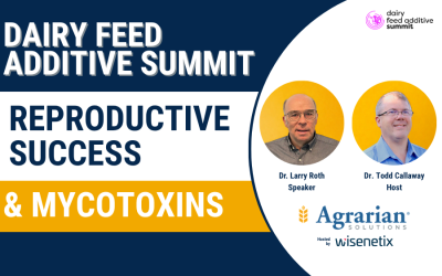 Dairy Feed Additive Summit: How Much Are Mycotoxins Costing Your Dairy Operation?