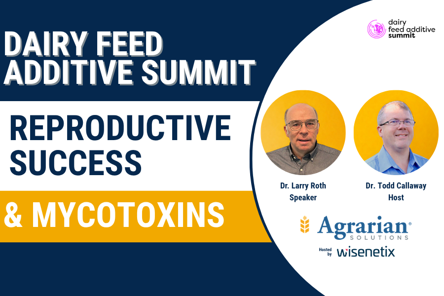 Dairy Feed Additive Summit: How Much Are Mycotoxins Costing Your Dairy Operation? Dairy Feed Additive Summit: How Much Are Mycotoxins Costing Your Dairy Operation?