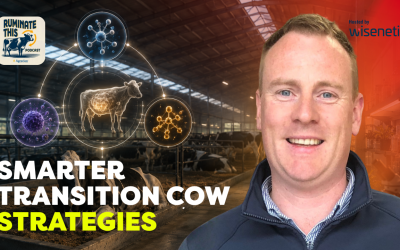 78: Rethinking Transition Cow Health